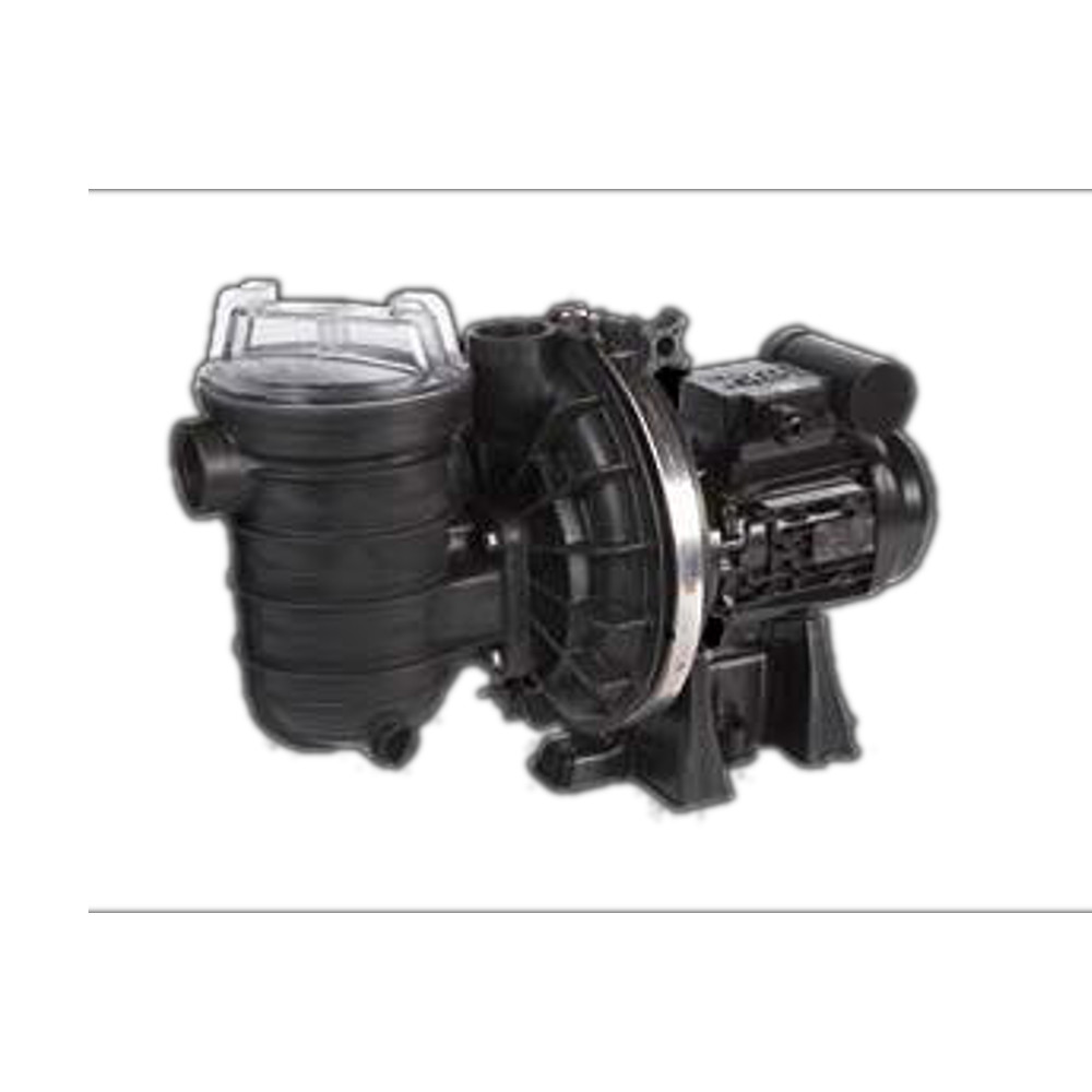 Sta-Rite S5P2RF-1 Salt Water Pool pump