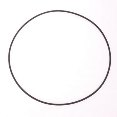 Pedrollo O-ring pump body F32