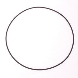 Pedrollo O-ring pump body F32