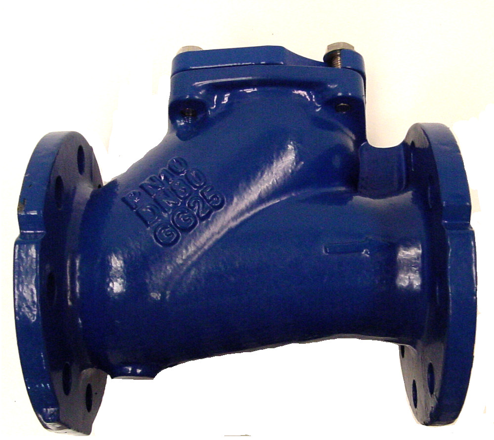 Cast Iron non return ball valve Flanged DN65
