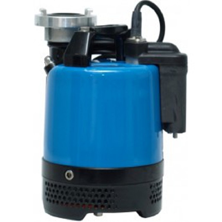 TSURUMI LB-480 2 in. 2/3 HP Electric Submersible Pump Investments Hardware Limit