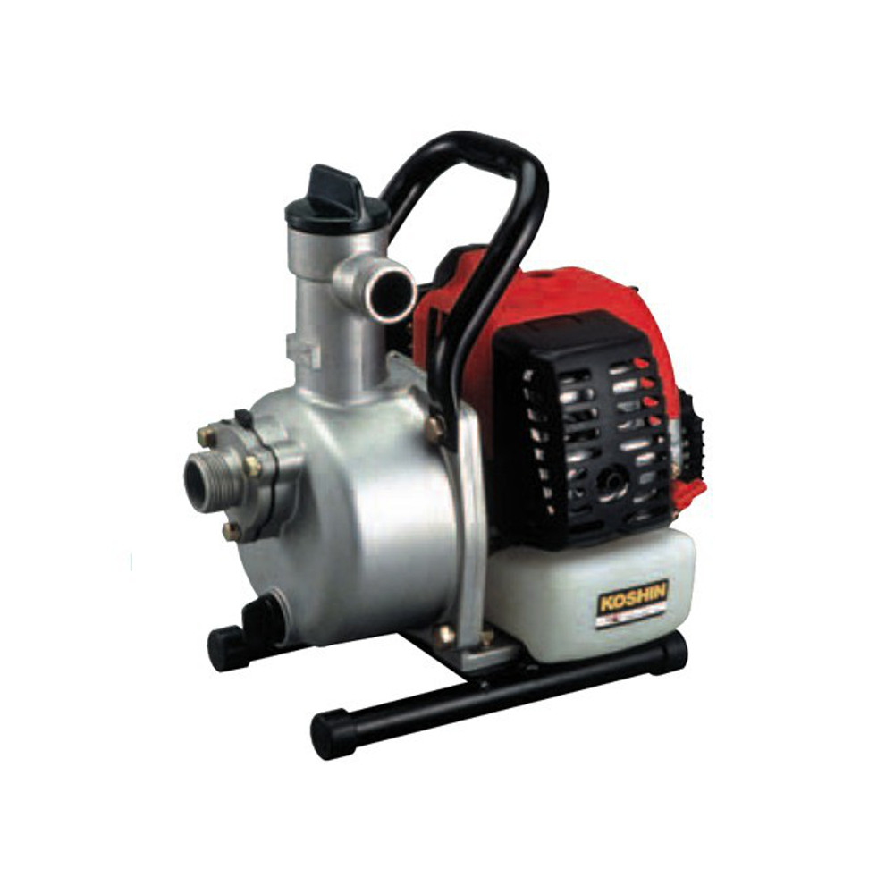 Fuel motor pumps